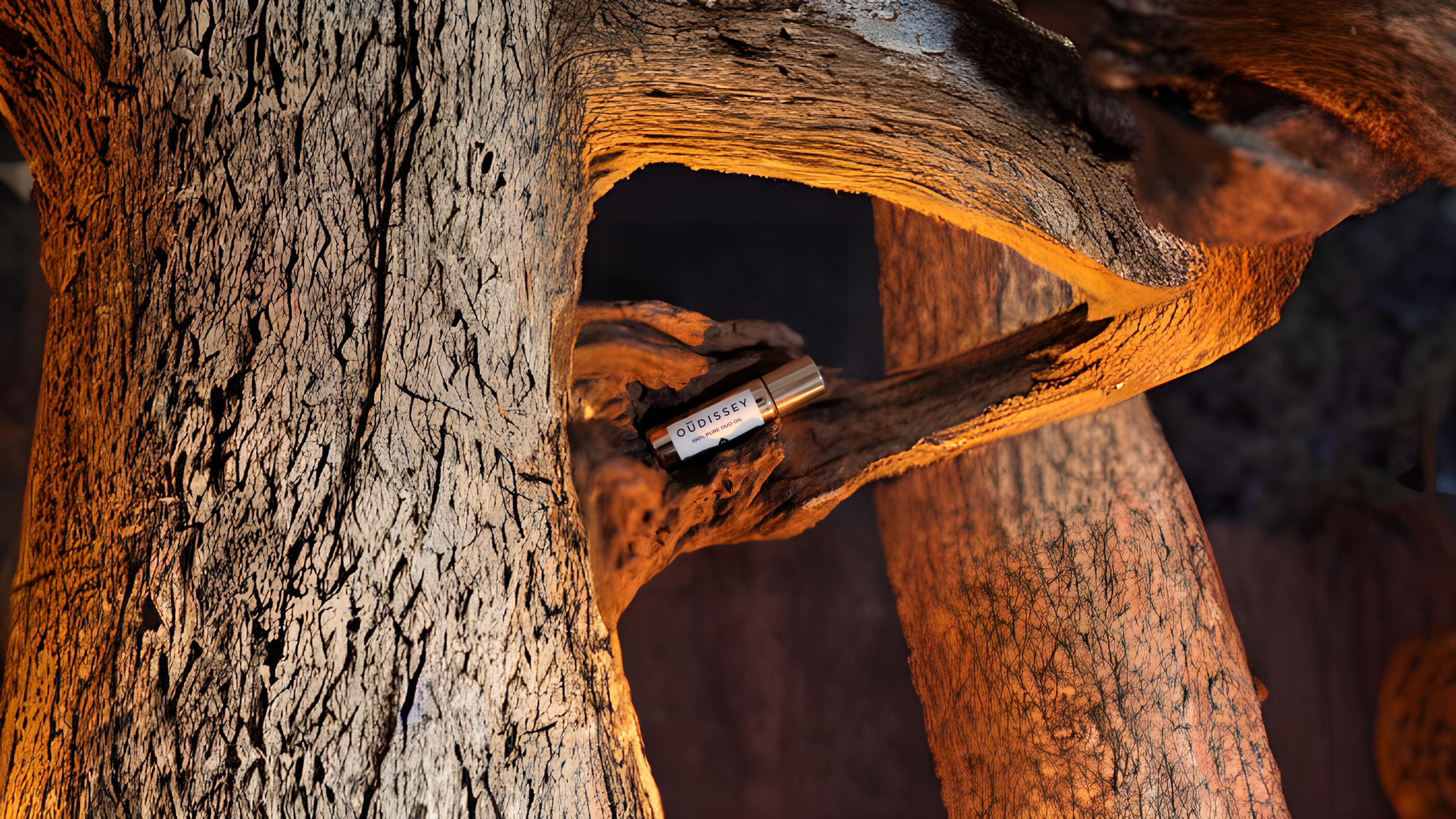 Oud-based perfumes and candles